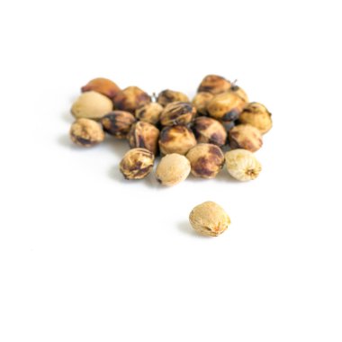 izole kiraz tohumları