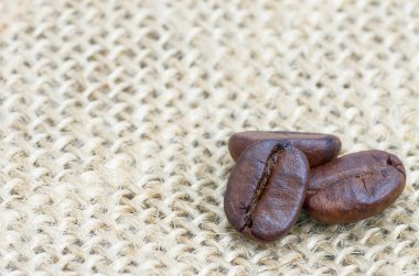 Taze kavrulmuş kahve çekirdeği.