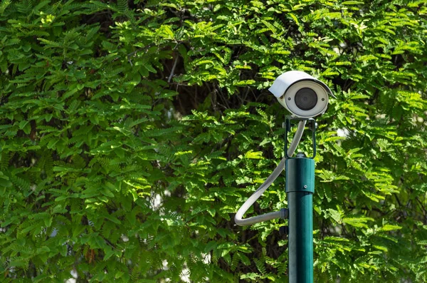 CCTV zabezpieczeń montowany na słupach — Zdjęcie stockowe