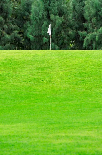 Buraco de golfe com bandeira branca — Fotografia de Stock