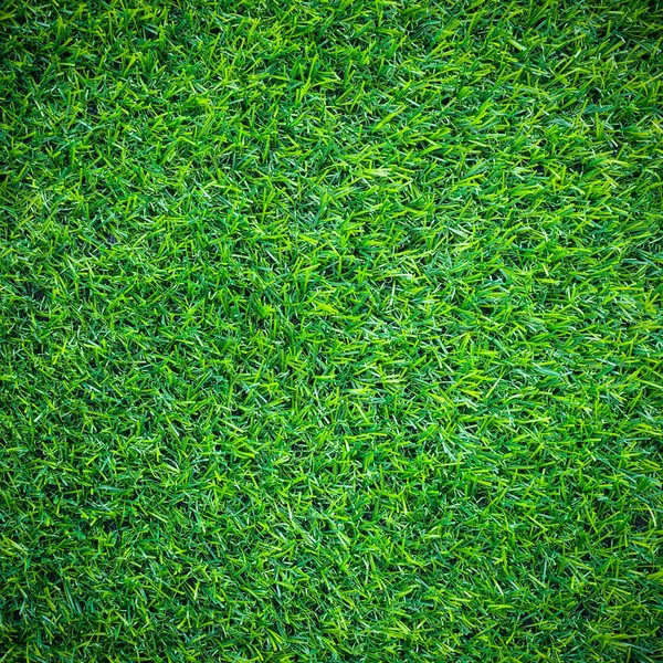 Yapay yeşil çimen. — Stok fotoğraf