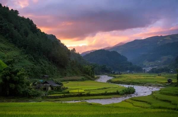 Pole na řadové z Mu Cang Chai — Stock fotografie