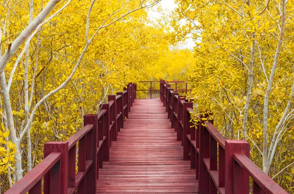 Мост в осенний лес . — стоковое фото