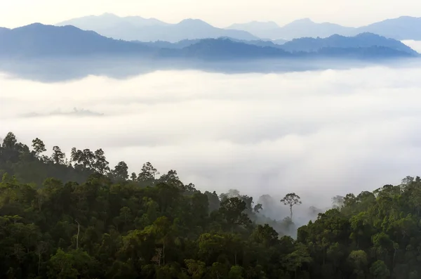 Valley Kaeng Krachan National Park — Stock Photo, Image