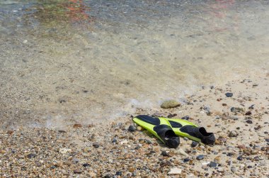 Sahilde yeşil palet