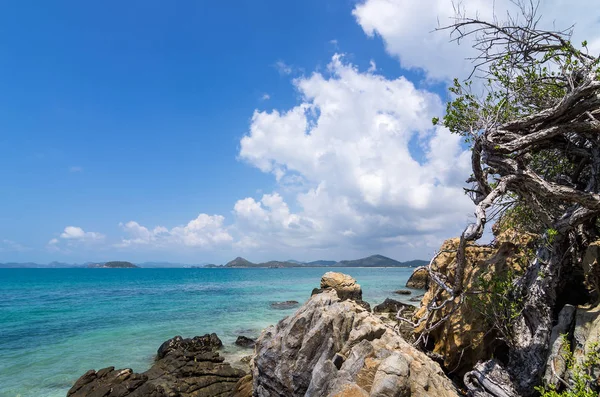 Rocky seashore at sunny day — Stock Photo, Image