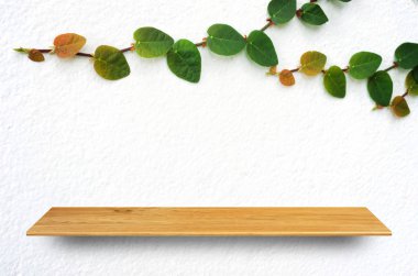 Ahşap ürünler için rafa kaldırmak 