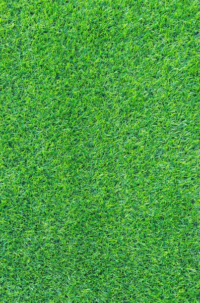 Artificial green grass — Stock Photo, Image