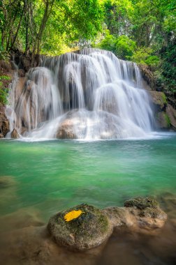 Büyük ve soğuk şelale peyzaj 