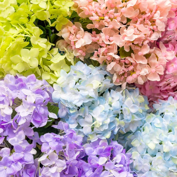 Bukett med blommor kostgjorda — Stockfoto