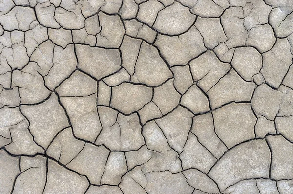Terreno seco agrietado —  Fotos de Stock