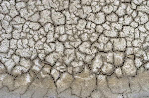 cracked dry ground