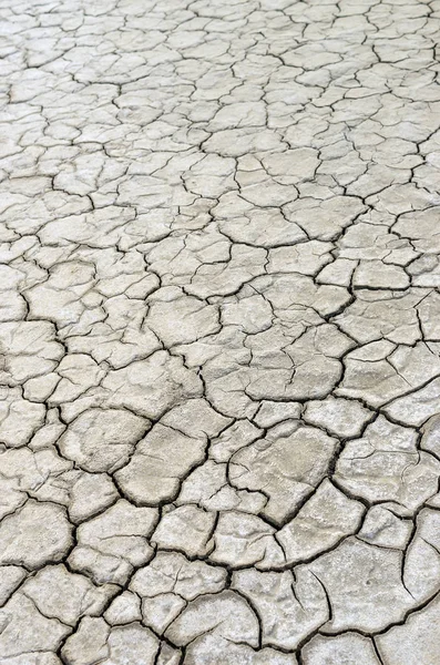 Prasklý suché zemi — Stock fotografie