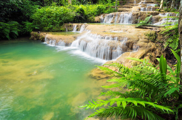 Beautiful Deep Forest Waterfall 