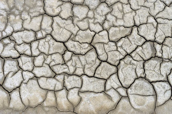 Terreno seco agrietado —  Fotos de Stock