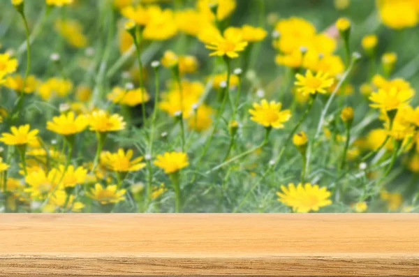 Wooden table top — Stock Photo, Image