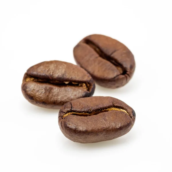 Roasted coffee beans Stock Image