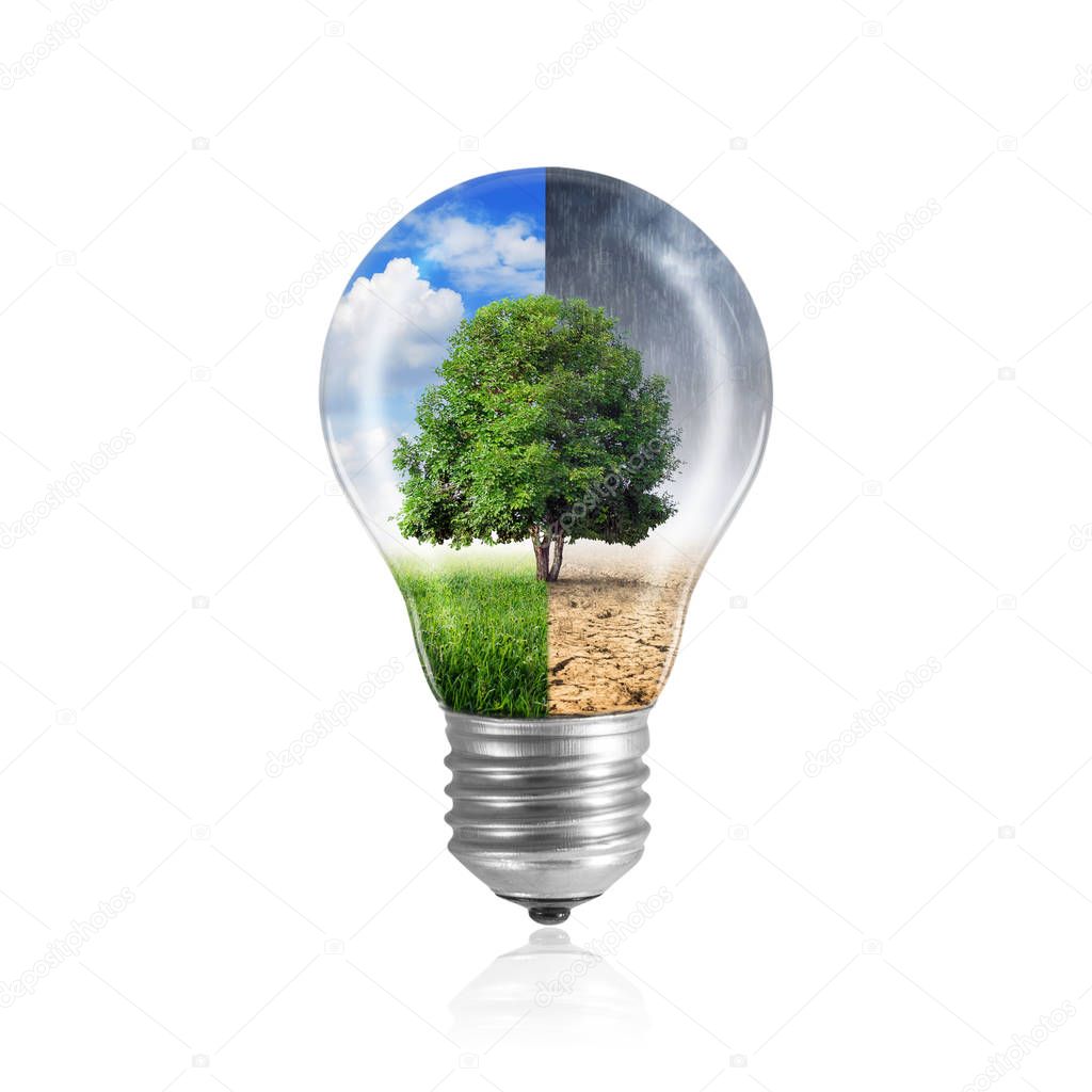 light bulb with Tree