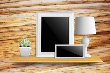 lamba ve saksı kaktüs ile resim çerçeveleri