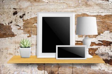 lamba ve saksı kaktüs ile resim çerçeveleri