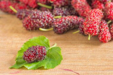 Olgun kırmızı dut