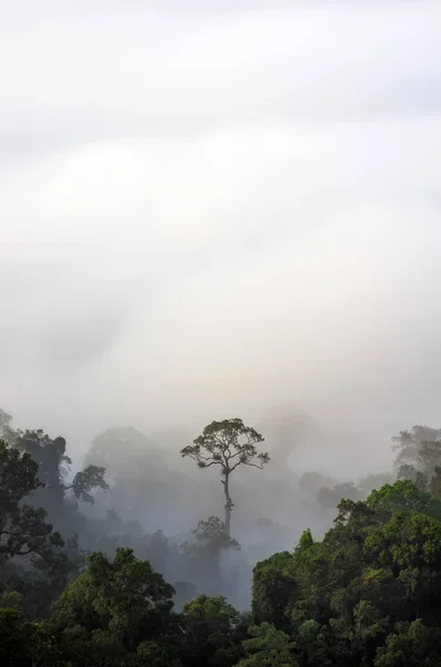 Kaeng krachan parque nacional — Fotografia de Stock