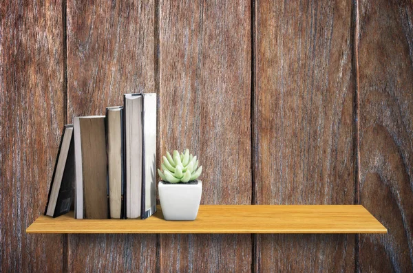Prateleira de madeira com cacto e livros — Fotografia de Stock