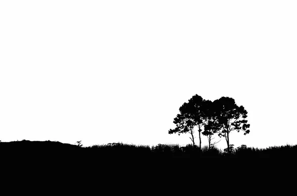 Träd som står på kullen — Stockfoto
