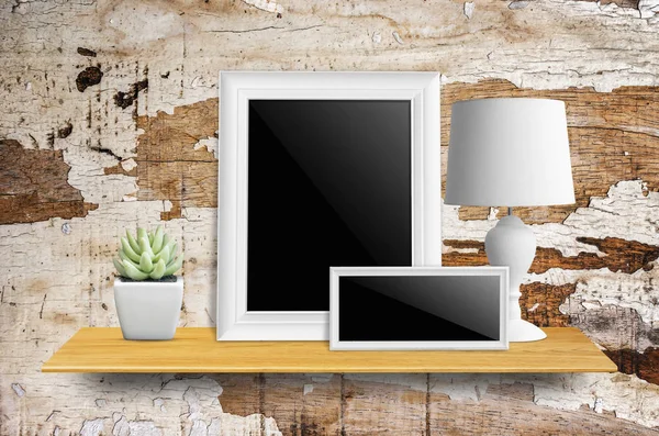 lamba ve saksı kaktüs ile resim çerçeveleri