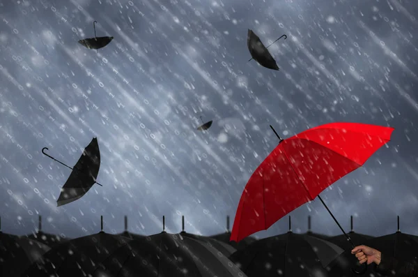 Paraguas colorido en masa de paraguas negro — Foto de Stock