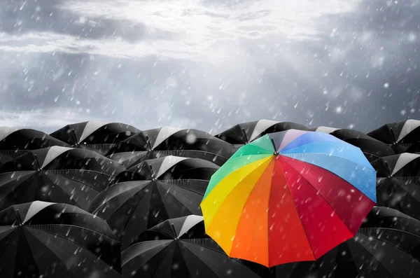 Colorful umbrella in mass of black umbrella — Stock Photo, Image