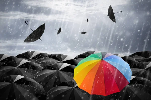 Colorful umbrella in mass of black umbrella — Stock Photo, Image