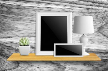 lamba ve saksı kaktüs ile resim çerçeveleri