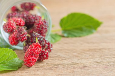 Olgun kırmızı dut