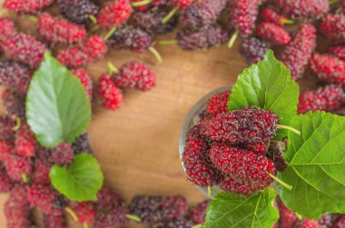 Olgun kırmızı dut