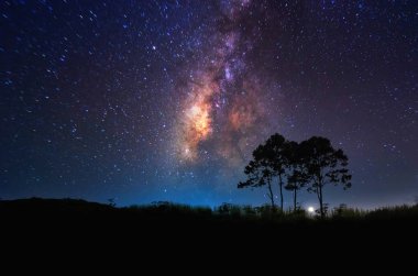 Samanyolu ağaçlar yukarıda 