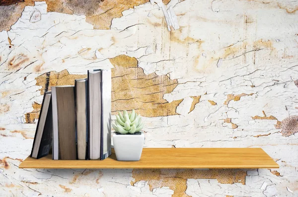 wooden shelf with cactus and books