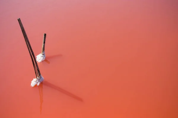 White mass of sea salt — Stock Photo, Image