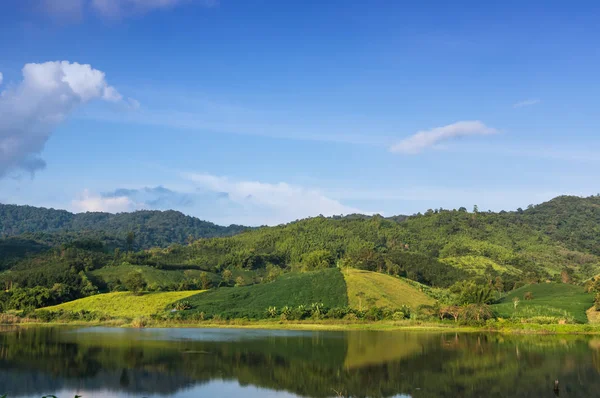 Water of reservoir reflecting green hills — Stock Photo, Image
