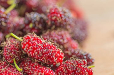 Olgun kırmızı dut