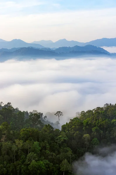 Kaeng Krachan National Park — Stock Photo, Image