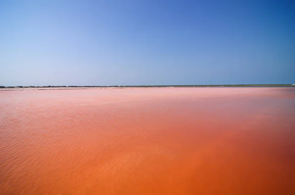 Mass of sea salt on orange water — Stock Photo, Image