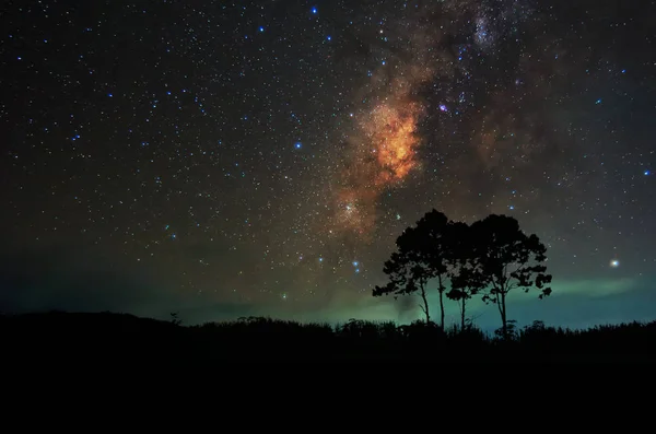 Melkweg boven de bomen — Stockfoto