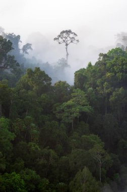 Krachan Milli Parkı Kaeng.