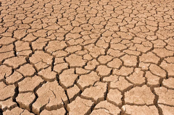 Contexto do solo seco — Fotografia de Stock