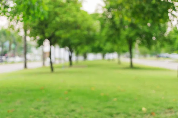 Abstract blurred trees — Stock Photo, Image