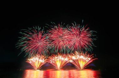 Kara gökyüzünde renkli havai fişekler.