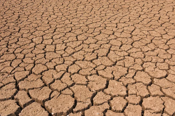 Droge gebarsten grond. — Stockfoto