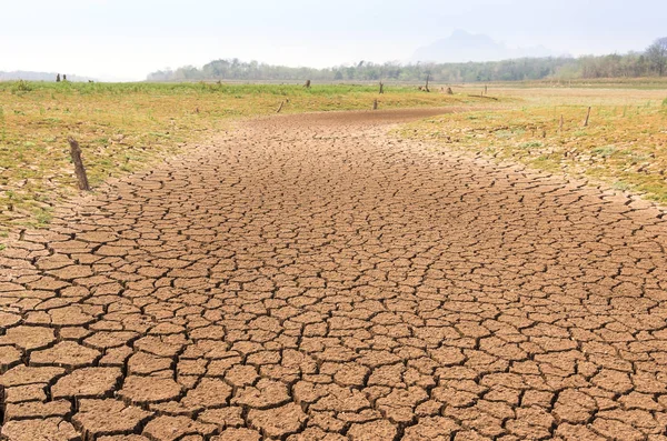 Dry ground texture — Stock Photo, Image