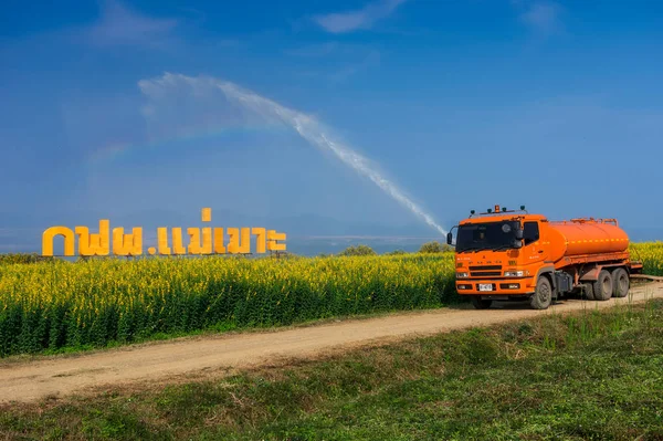 Πορτοκαλί φορτηγό έριχνε νερό στο δέντρο.. — Φωτογραφία Αρχείου